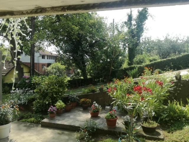 Apartman Bilja Vrnjacka Banja Exterior photo